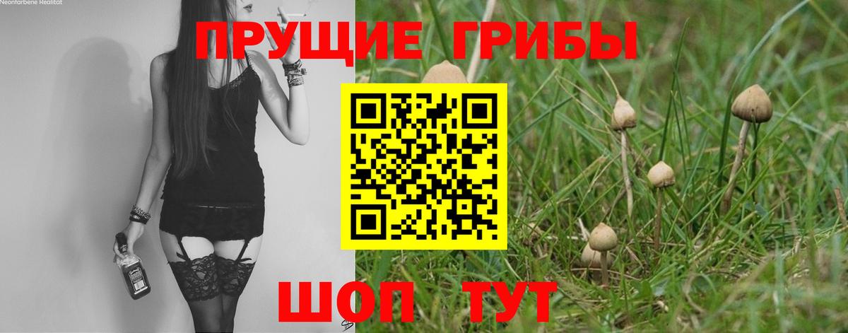 Галлюциногенные грибы прущие грибы  Галлюциногенные грибы Magic Shrooms  Кингисепп  Вход с VPN 
