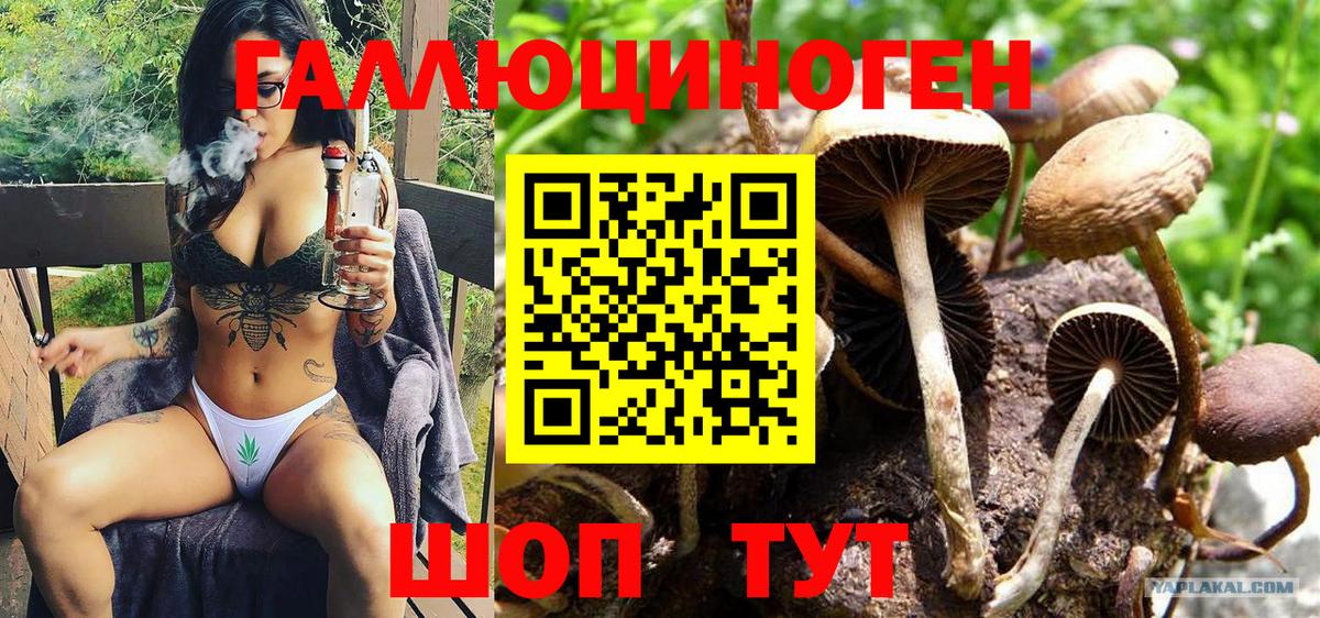 Псилоцибиновые грибы мухоморы Кингисепп